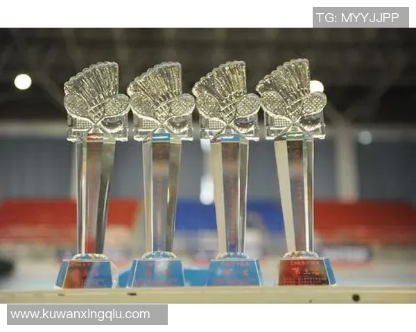 南京羽毛球队意识对比深度解析与发展潜力探讨