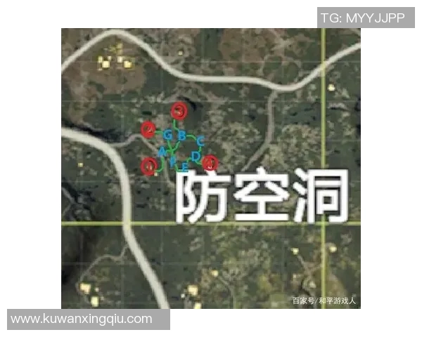 和平精英热潮下WE战队的运营策略与市场影响深度解析