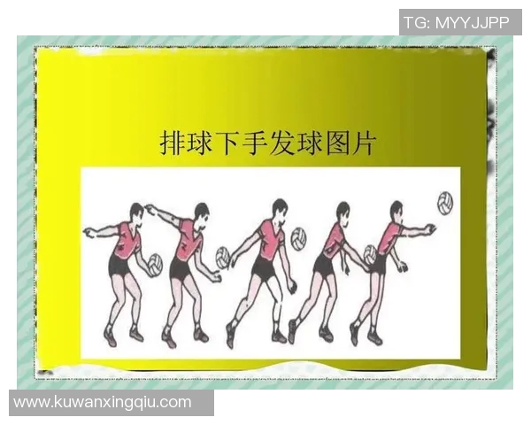排球新手必看：从基础技能到个人能力全面提升的实用指南