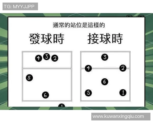 武汉排球队的排球战术解析与节奏体系的深度剖析
