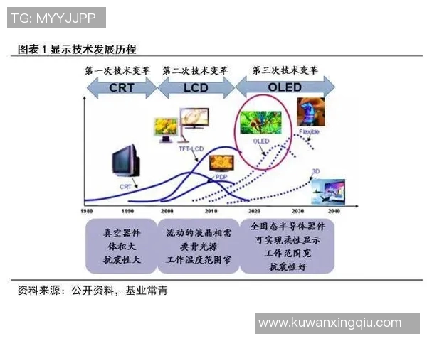 深圳排球队的转型升级之路探索与未来发展展望