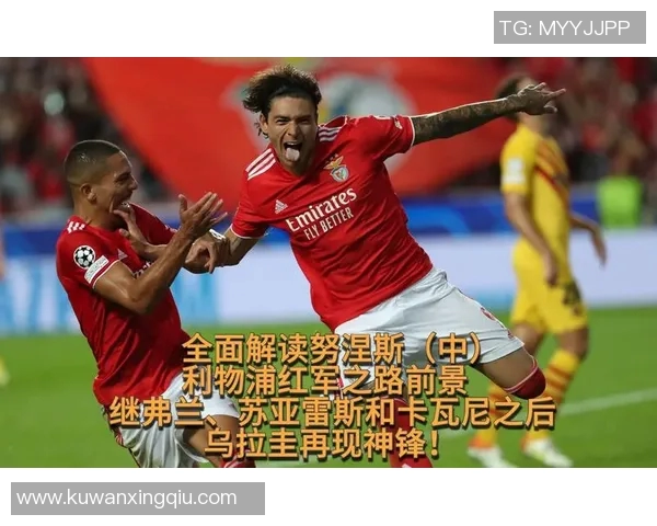 努涅斯的崛起与挑战：从新星到顶级前锋的奋斗之路