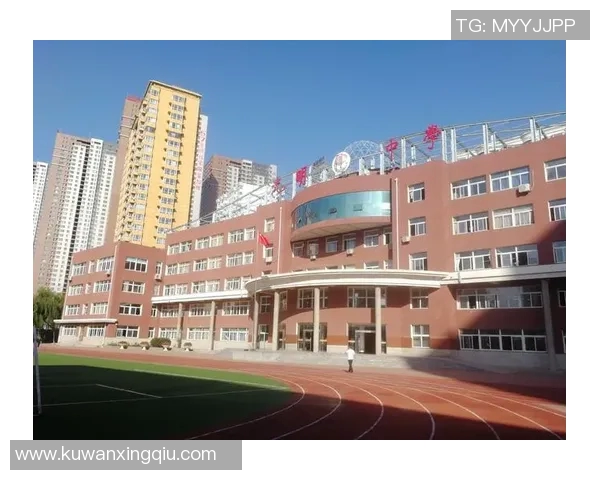 史鸿飞的奋斗历程与人生哲学探讨：从平凡到卓越的成长之路