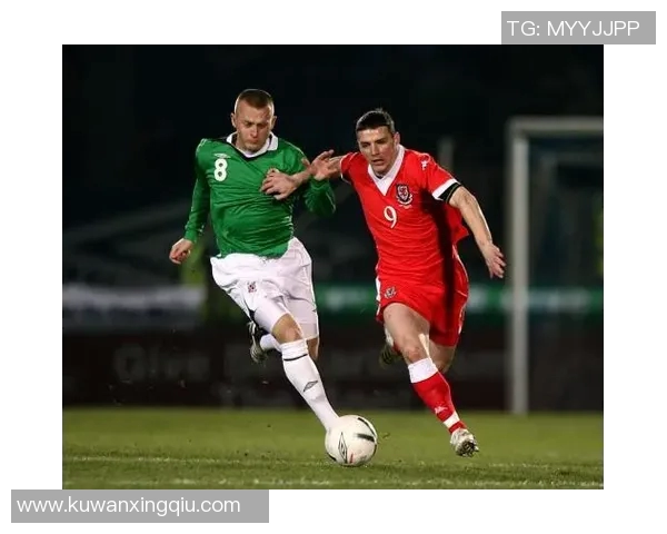 威尔士与爱尔兰精彩对决视频回顾分析及赛后亮点总结