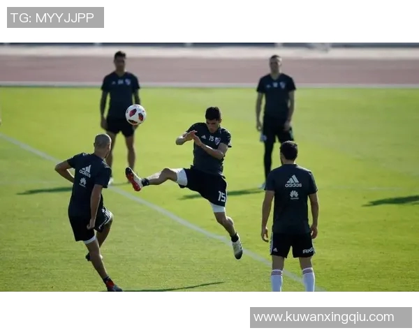 法伦斯与葡国的精彩对决揭示足球战术与团队合作的完美结合