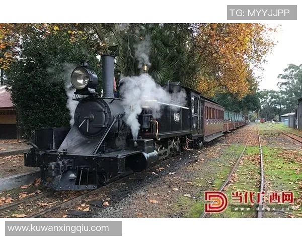 莫火车与柯山红的对决：传统与现代的碰撞与融合之旅