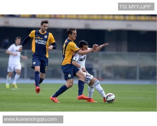 维罗纳对阵萨索洛赛事分析及胜负推荐解析