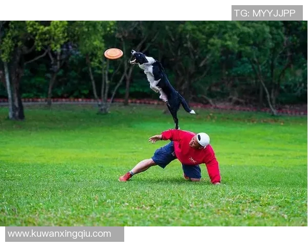 飞盘运动心理素质实力排行榜揭晓引发热议与关注