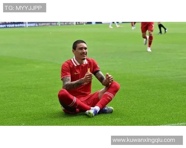 努涅斯在球队中的崛起与未来发展潜力分析